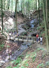 Altenbachklammwanderung | © TV Die Südsteirische Weinstraße/Ulrike Elsneg | TV Die Südsteireische Weinstrasse | © TV Die Südsteirische Weinstraße/Ulrike Elsneg