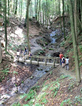 Altenbachklammwanderung | TV Die Südsteireische Weinstrasse | © TV Die Südsteirische Weinstraße/Ulrike Elsneg