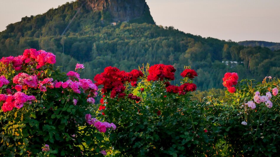 Wanderung Etappe 30 Vom Gletscher zum Wein Nordroute Fürstenfeld - Unterlamm - Touren-Impression #2.5 | © (c) Steiermark Tourismus/Manfred Polansky
