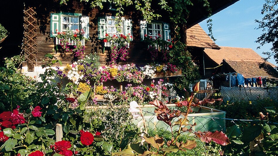 Hiking route Stage 20 From Glacier to Wine South Route Bad Schwanberg - Eibiswald - Touren-Impression #2.4 | © Steiermark Tourismus/Reinhard Lamm