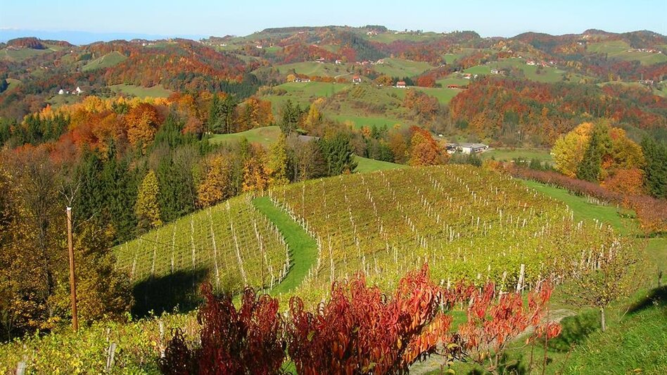 Hiking route Stage 21 From Glacier to Wine South Route Eibiswald - Remschnigg - Touren-Impression #2.7 | © Unbekannt