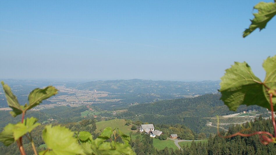 Wanderung Etappe 22 Vom Gletscher zum Wein Südroute Remschnigg - Leutschach - Touren-Impression #2.4 | © (c) Steiermark Tourismus/ Günther Steininger