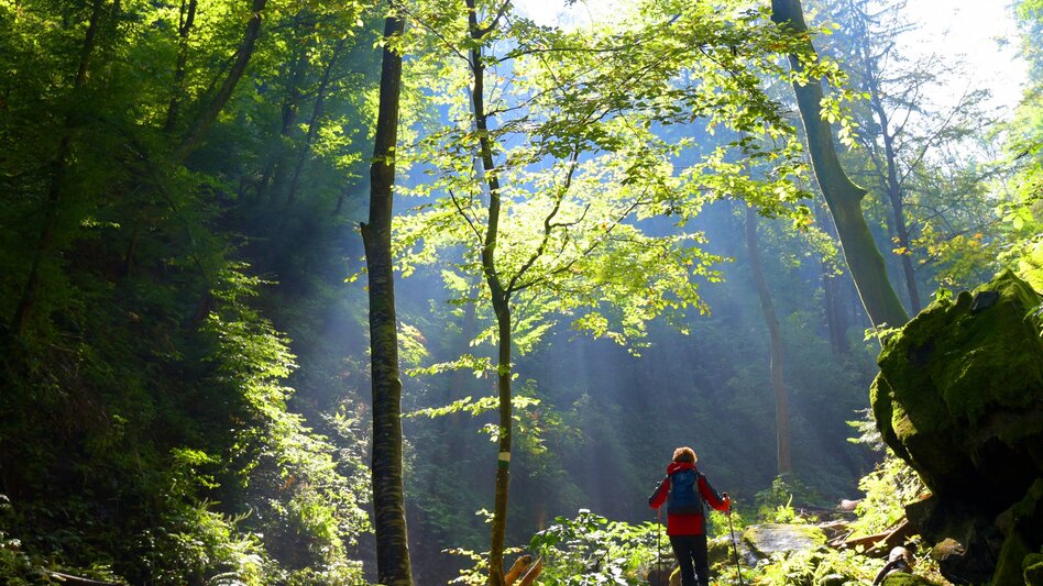 Wanderung Etappe 22 Vom Gletscher zum Wein Südroute Remschnigg - Leutschach - Touren-Impression #2.8 | © (c) Steiermark Tourismus/Gery Wolf