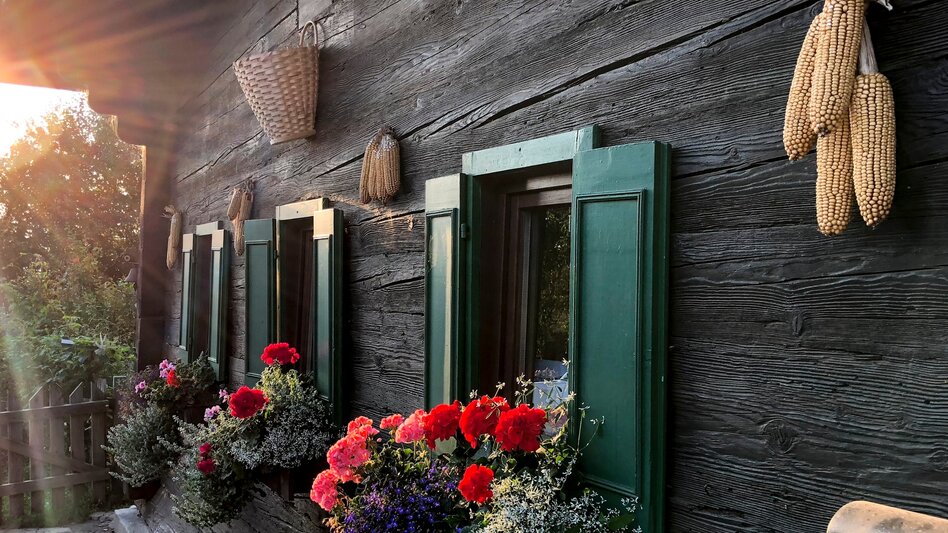 Wanderung Etappe 22 Vom Gletscher zum Wein Südroute Remschnigg - Leutschach - Touren-Impression #2.6 | © (c) Steiermark Tourismus/Martina Traisch