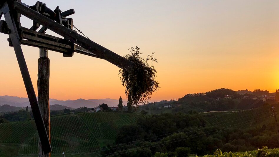 Hiking route Stage 23 From Glacier to Wine South Route Leutschach - Ratsch an der Weinstraße - Touren-Impression #2.4 | © Steiermark Tourismus/Martina Traisch