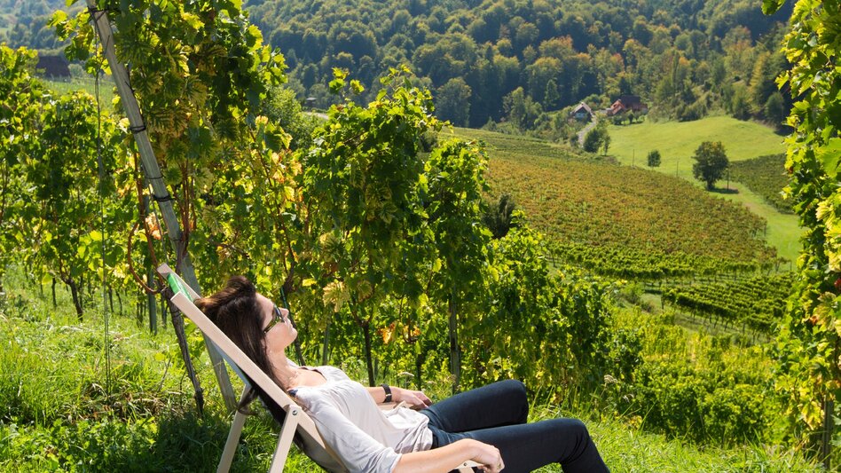 Hiking route Stage 24 From Glacier to Wine South Route Ratsch an der Weinstraße - Ehrenhausen - Touren-Impression #2.4 | © (c) Vino Cool/Schiffer-Symbol