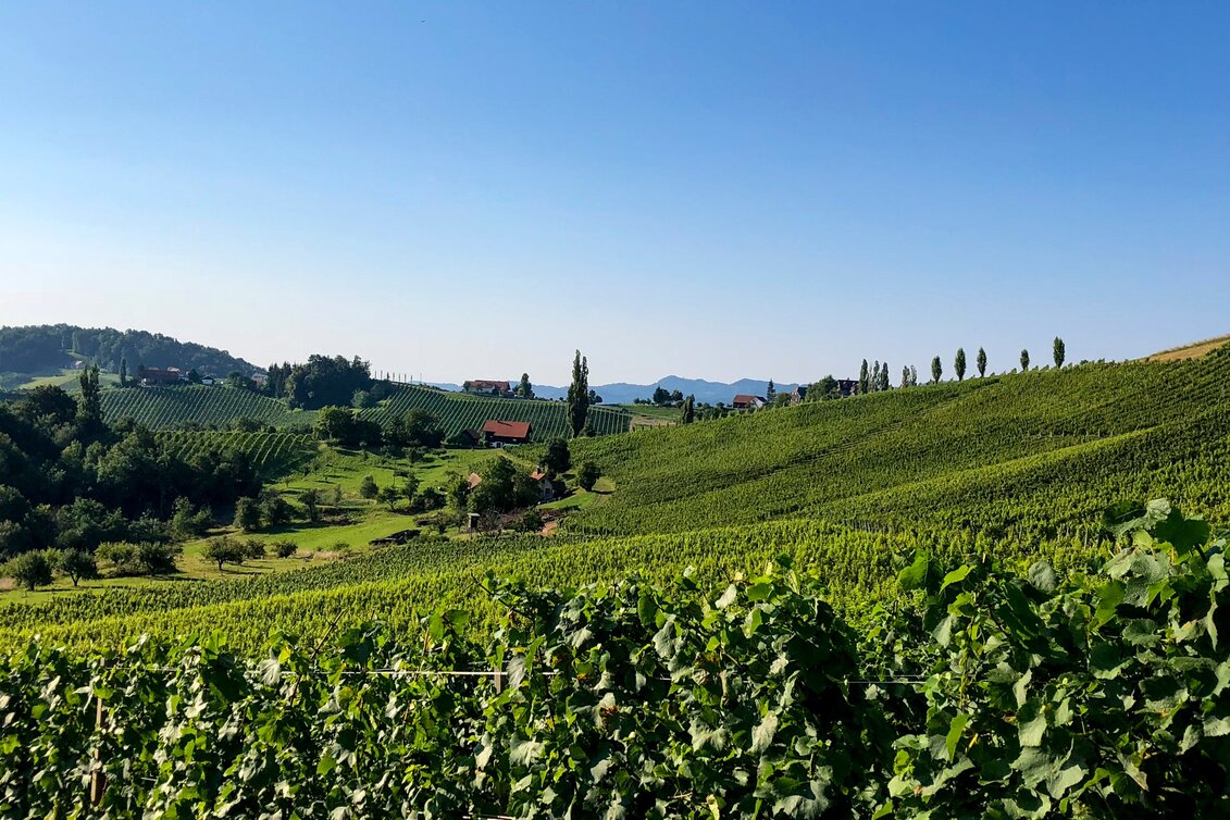 Hiking route Stage 24 From Glacier to Wine South Route Ratsch an der Weinstraße - Ehrenhausen - Touren-Impression #1 | © Steiermark Tourismus/Martina Traisch