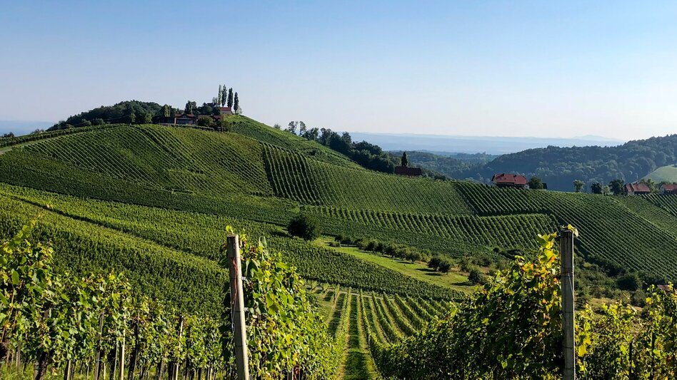 Hiking route Stage 24 From Glacier to Wine South Route Ratsch an der Weinstraße - Ehrenhausen - Touren-Impression #2.7 | © Steiermark Tourismus/Martina Traisch