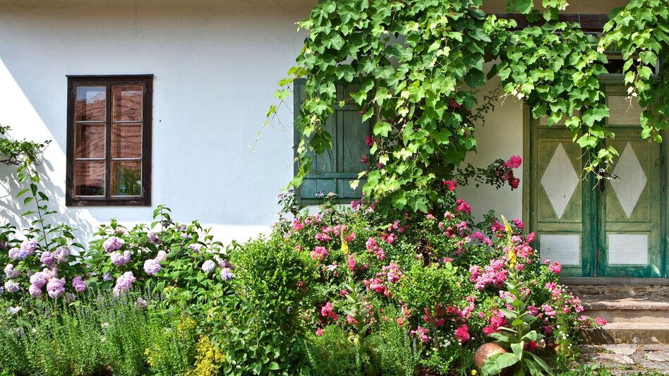 Hiking route Stage 25 From Glacier to Wine South Route Ehrenhausen - Leibnitz - Touren-Impression #2.4 | © Vino Cool/Harald Eisenberger