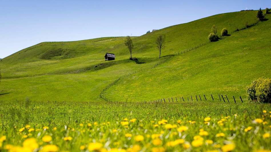 Wanderung Etappe 09 Vom Gletscher zum Wein Südroute Krakau - St. Peter am Kammersberg - Touren-Impression #2.4 | © Steiermark Tourismus/Tom Lamm