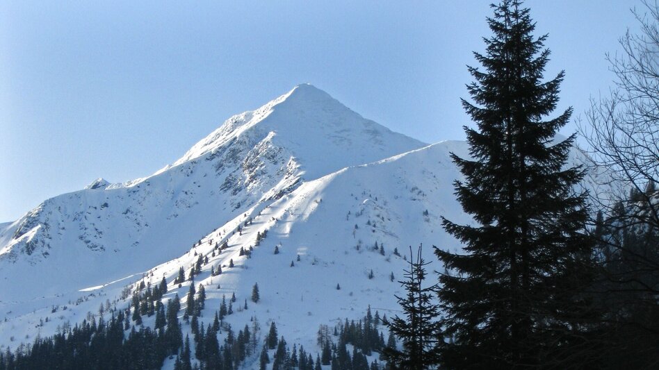 Ski Touring Hornfeldspitze 2.277 m - Touren-Impression #2.3 | © Erlebnisregion Schladming-Dachstein