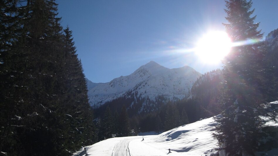 Ski Touring Schafdach 2.314 m - Touren-Impression #2.4 | © Volkhard Maier