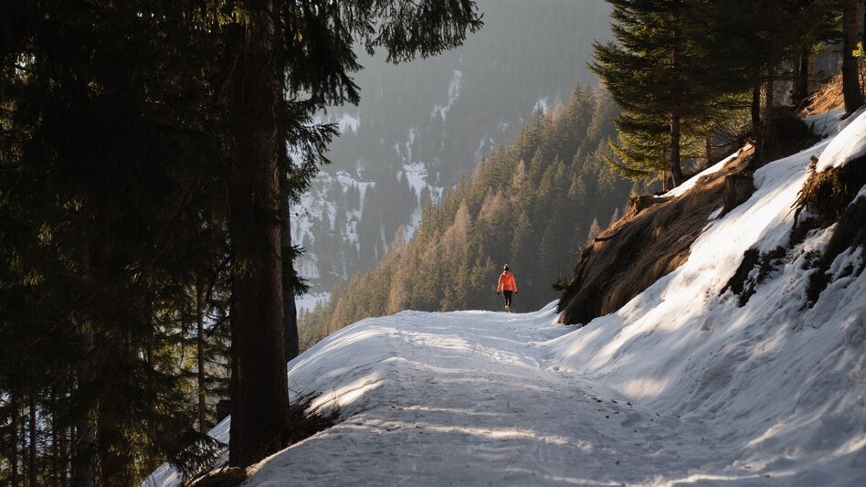 Winter Hiking Schönwetterhütte: Snowshoe & winter hike - Touren-Impression #2.8 | © Erlebnisregion Schladming-Dachstein