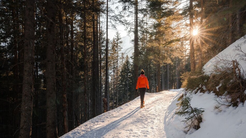 Winter Hiking Schönwetterhütte: Snowshoe & winter hike - Touren-Impression #2.9 | © Erlebnisregion Schladming-Dachstein