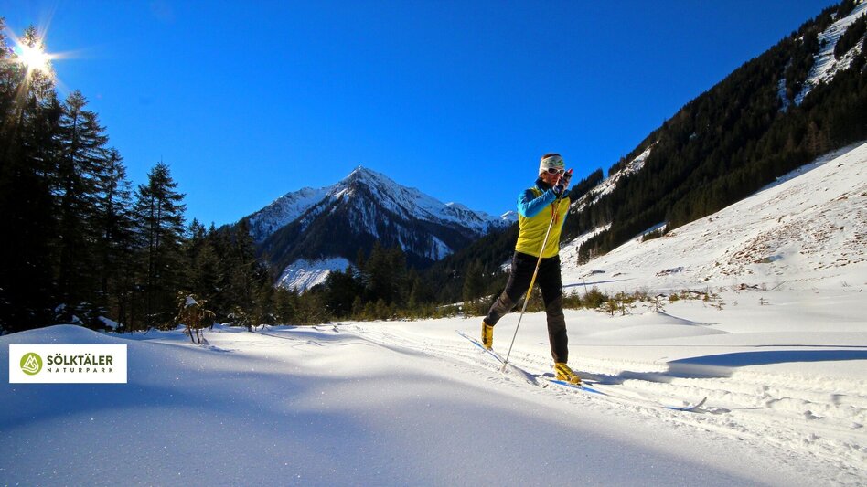 Langlauf klassisch Bräualmloipe Klassik - Touren-Impression #2.7 | © Erlebnisregion Schladming-Dachstein