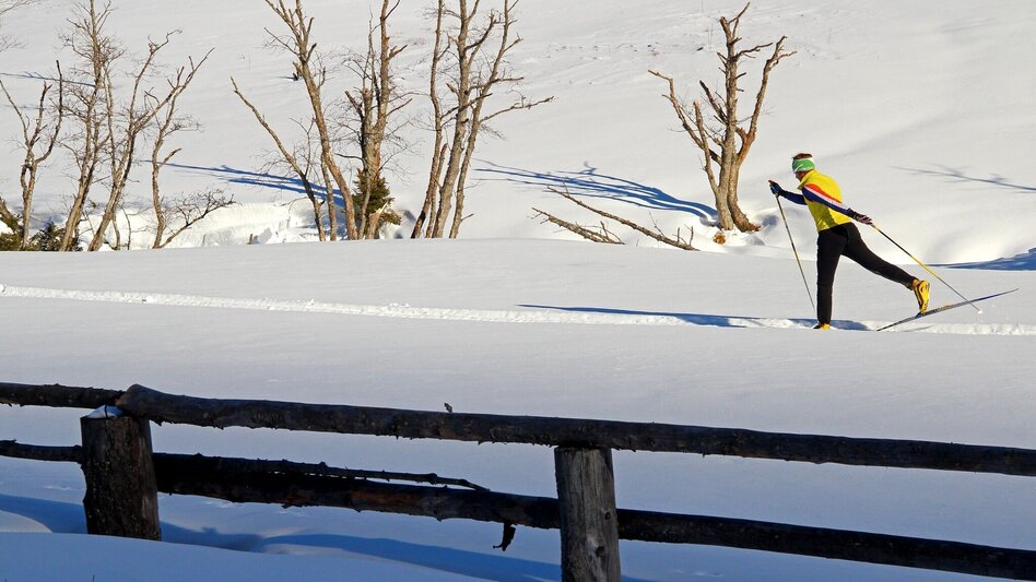 Langlauf klassisch Bräualmloipe Klassik - Touren-Impression #2.2 | © Erlebnisregion Schladming-Dachstein