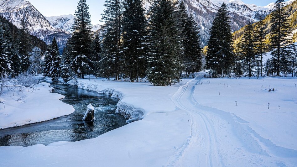 Langlauf klassisch Bräualmloipe Klassik - Touren-Impression #2.1 | © Erlebnisregion Schladming-Dachstein
