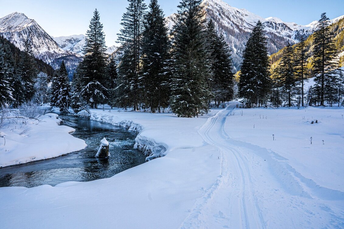 Langlauf klassisch Bräualmloipe Klassik - Touren-Impression #1 | © Erlebnisregion Schladming-Dachstein