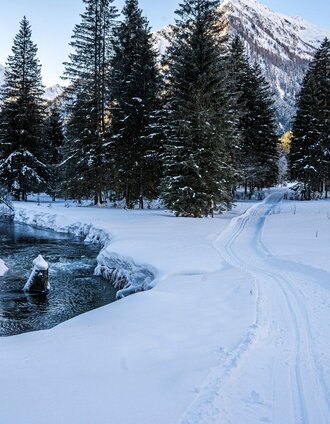 Entlang vom Bräualmbach in die Natur | Gerhard Pilz | © Erlebnisregion Schladming-Dachstein
