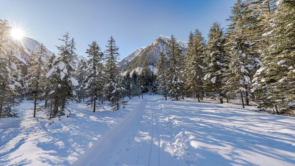 Langlauf klassisch Bräualmloipe Klassik - Touren-Impression #2.3 | © Erlebnisregion Schladming-Dachstein
