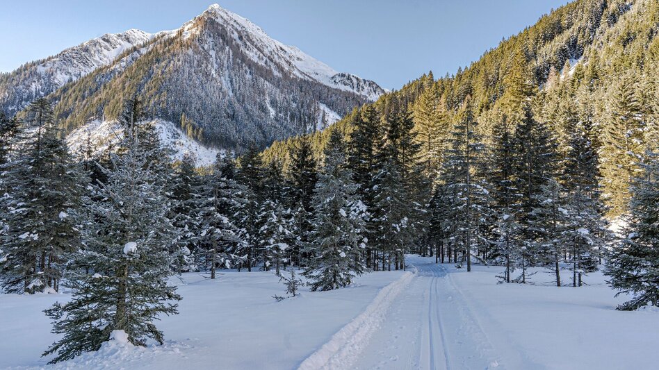 Langlauf klassisch Bräualmloipe Klassik - Touren-Impression #2.4 | © Erlebnisregion Schladming-Dachstein
