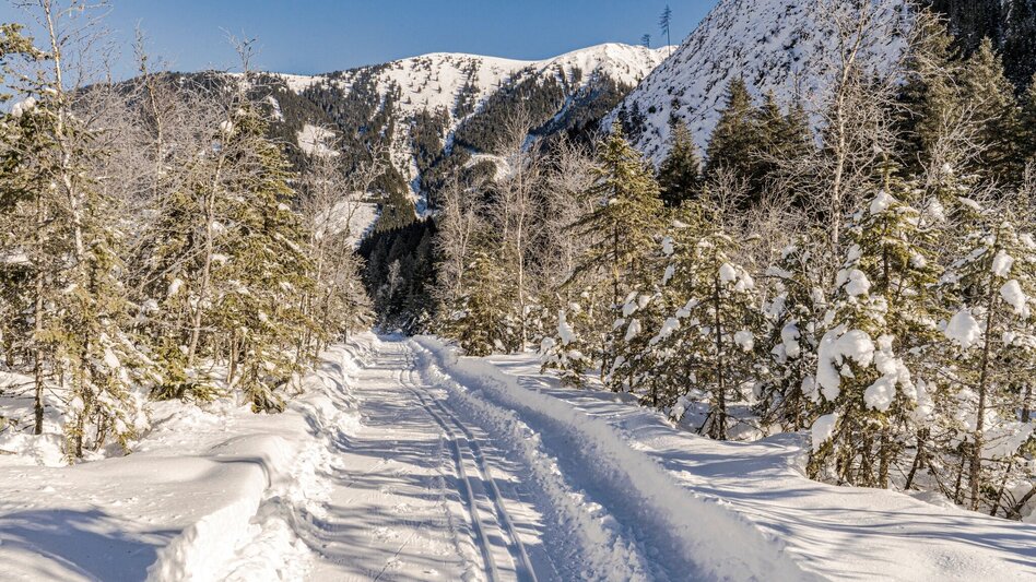 Langlauf klassisch Bräualmloipe Klassik - Touren-Impression #2.6 | © Erlebnisregion Schladming-Dachstein