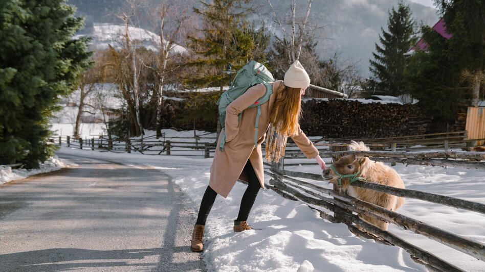 Winter Hiking Sölkdörfl winter hike - Touren-Impression #2.1 | © Erlebnisregion Schladming-Dachstein
