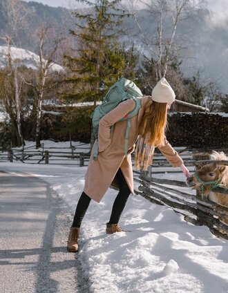 Tierische Begegnung am Dörfl Winterwanderweg | Christoph Lukas | © Erlebnisregion Schladming-Dachstein