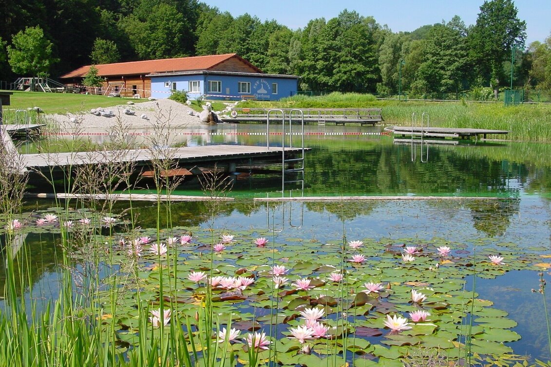 Hiking route Oberhaager Wege - Dorf-Rundweg - Touren-Impression #1 | © Gemeinde Oberhaag