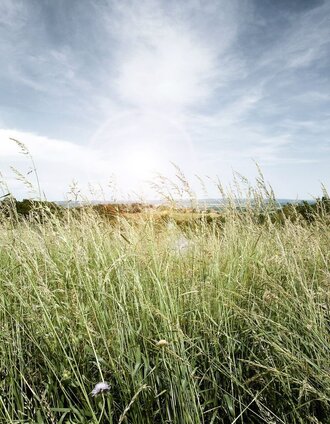 Blick auf das Hartbergschlössel | Jörg Liemandt | © Thermen- & Vulkanland