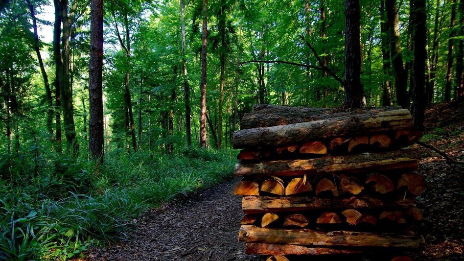 Wanderung Au & Uferweg - Kurze Variante / Weg 8 - Touren-Impression #2.2 | © Thermen- & Vulkanland