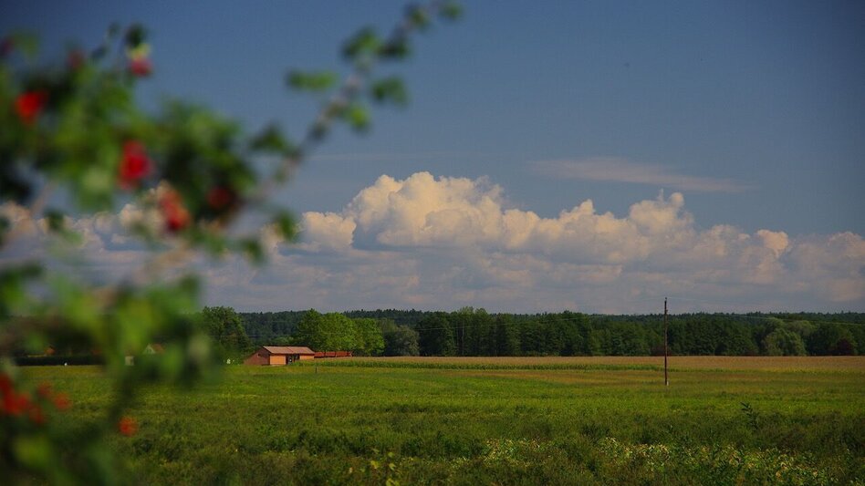Wanderung Au & Uferweg - Kurze Variante / Weg 8 - Touren-Impression #2.4 | © Thermen- & Vulkanland