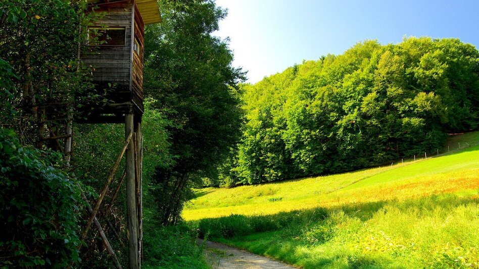 Wanderung Au & Uferweg - Kurze Variante / Weg 8 - Touren-Impression #2.5 | © Thermen- & Vulkanland