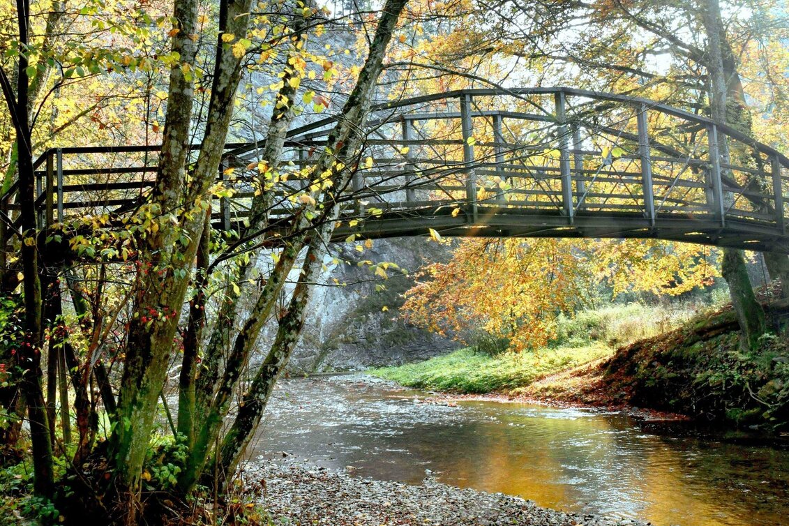 Hiking route Great Raab - Round Trip - Touren-Impression #1 | © Oststeiermark Tourismus