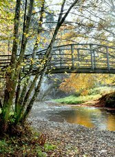 Große Raabklamm, Foto: Toperczer | © Oststeiermark Tourismus | Christine Pollhammer | © Oststeiermark Tourismus