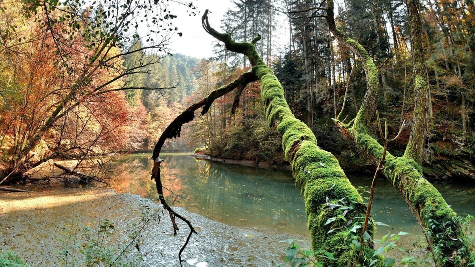 Hiking route Great Raab - Round Trip - Touren-Impression #2.4 | © Oststeiermark Tourismus