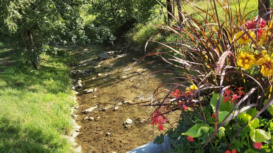 Hiking route Great Raab - Round Trip - Touren-Impression #2.3 | © Oststeiermark Tourismus