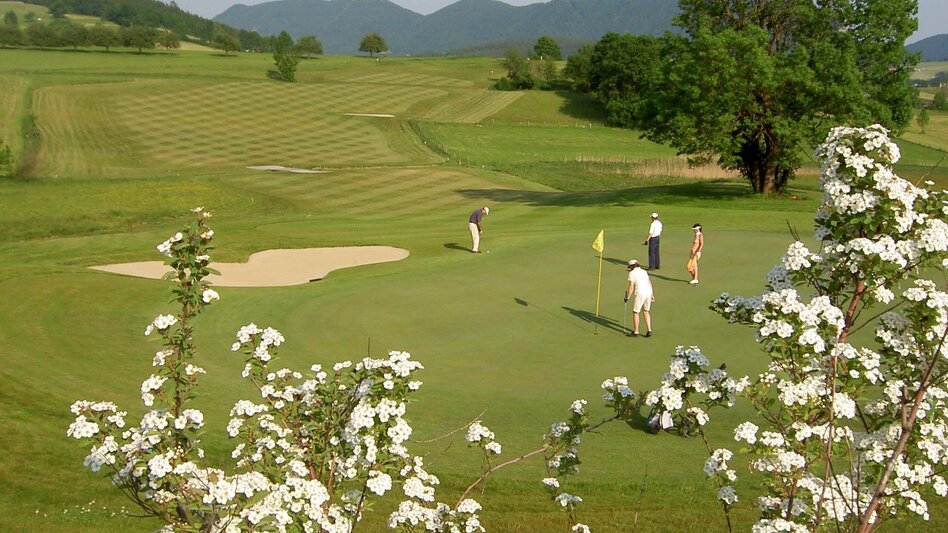 Motor Bike Nature Parks Vespa Tour - Touren-Impression #2.5 | © TVB Oststeiermark