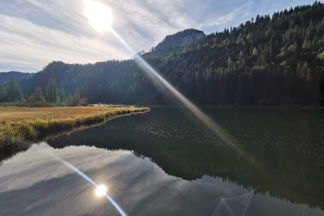 Mountainbike S508 Spechtensee Runde - Touren-Impression #1 | © Ausseerland