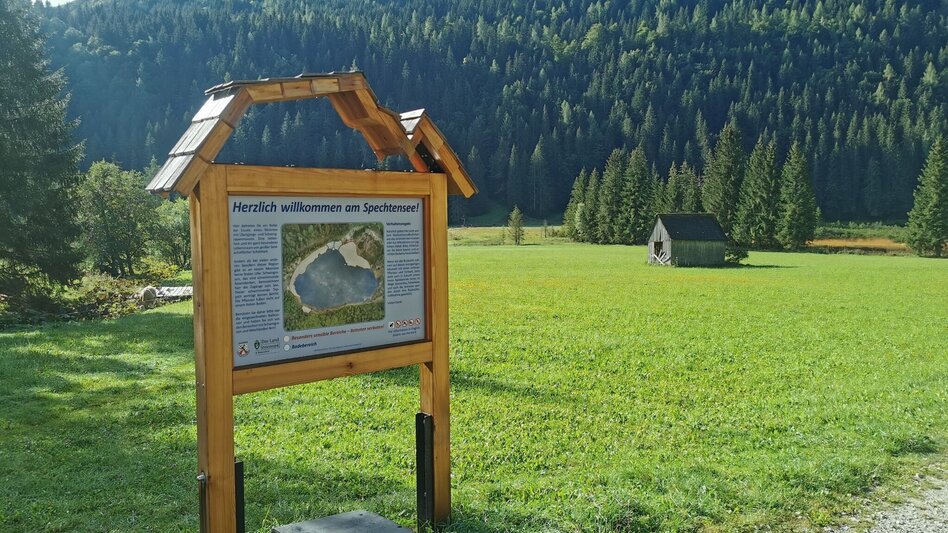 Mountainbike S508 Spechtensee Runde - Touren-Impression #2.3 | © Ausseerland