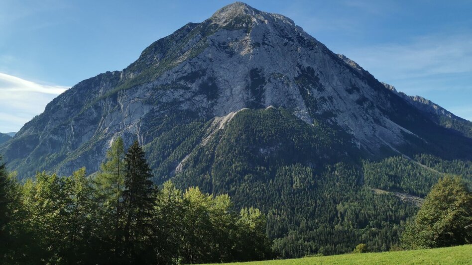 Mountainbike S508 Spechtensee Runde - Touren-Impression #2.5