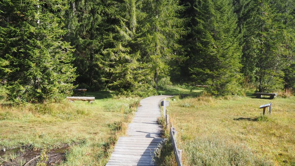 Mountainbike S508 Spechtensee Runde - Touren-Impression #2.6 | © Ausseerland