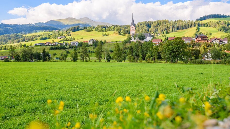 Hiking route Wooden road hike - Nickelberg - Maxriapl - Touren-Impression #2.1 | © Tourismusverband Murau