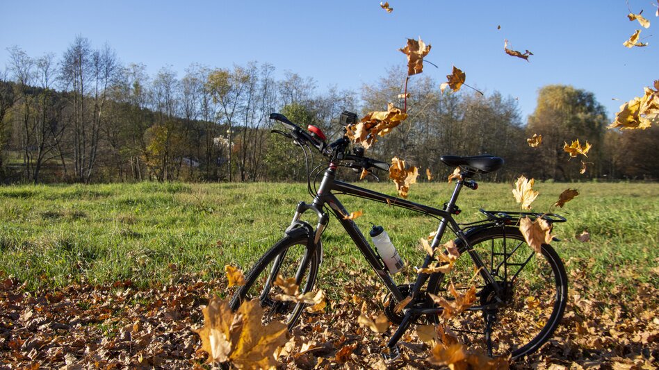 Bike Riding Safen Valley Path (Safentalweg) - Touren-Impression #2.1 | © Kurkommission Bad Blumau