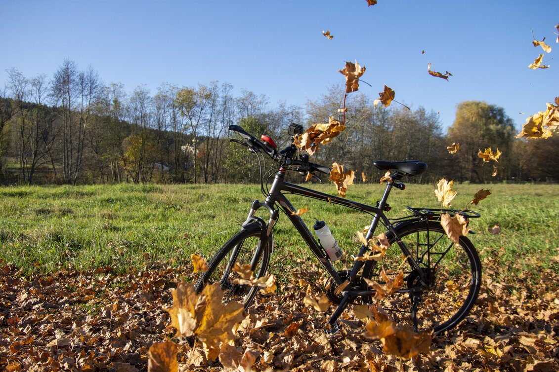 Bike Riding Safen Valley Path (Safentalweg) - Touren-Impression #1 | © Kurkommission Bad Blumau