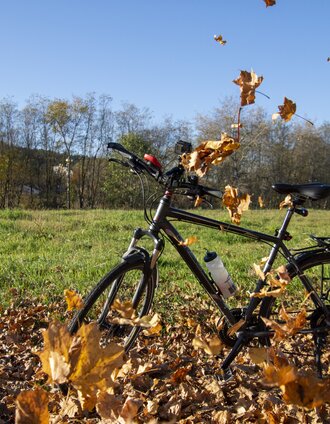 THO_0961.JPG | Christian Thomaser | © Kurkommission Bad Blumau