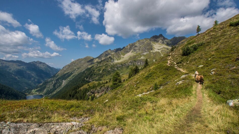 Mountain Hike 2-days-hike: Planai High Trail with overnight at Preintalerhütte chalet - Touren-Impression #2.17 | © Gerhard Pilz