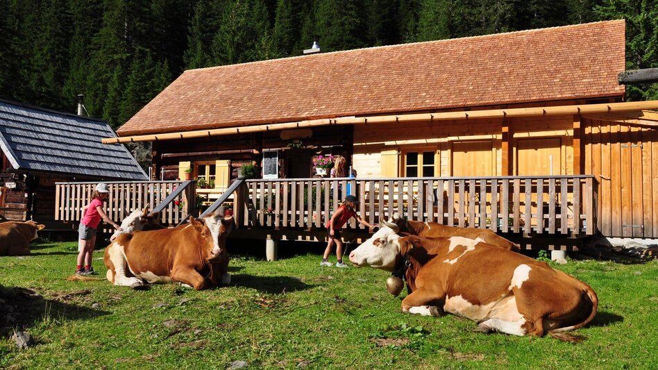 Mountain Hike 2-days-hike: Planai High Trail with overnight at Preintalerhütte chalet - Touren-Impression #2.23 | © Kotalm - Berallerhütte