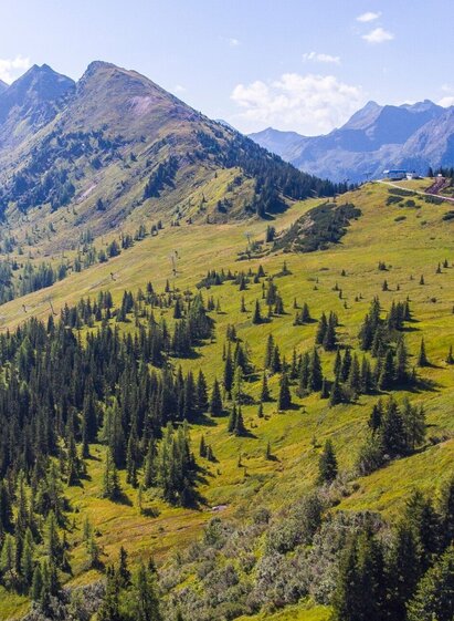 Planai Panorama-Rundweg und der Krahbergzinken im Hintergrund | © Erlebnisregion Schladming-Dachstein | Josh Absenger | © Erlebnisregion Schladming-Dachstein