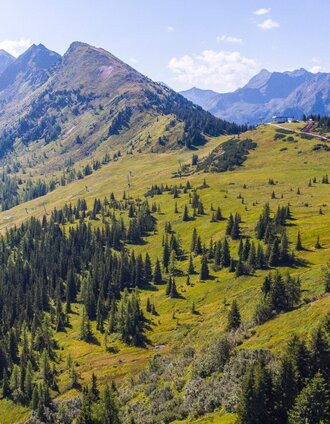 Planai Panorama-Rundweg und der Krahbergzinken im Hintergrund | Josh Absenger | © Erlebnisregion Schladming-Dachstein